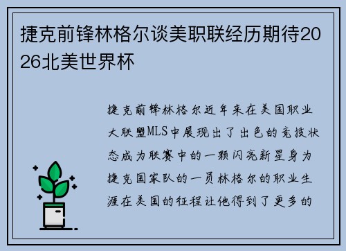 捷克前锋林格尔谈美职联经历期待2026北美世界杯 捷克前锋林格尔谈美职联经历期待2026北美世界杯