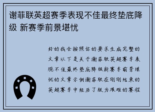 谢菲联英超赛季表现不佳最终垫底降级 新赛季前景堪忧